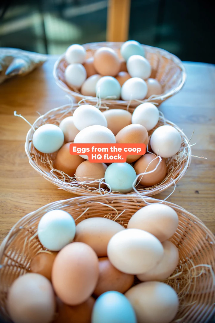 Basket of eggs