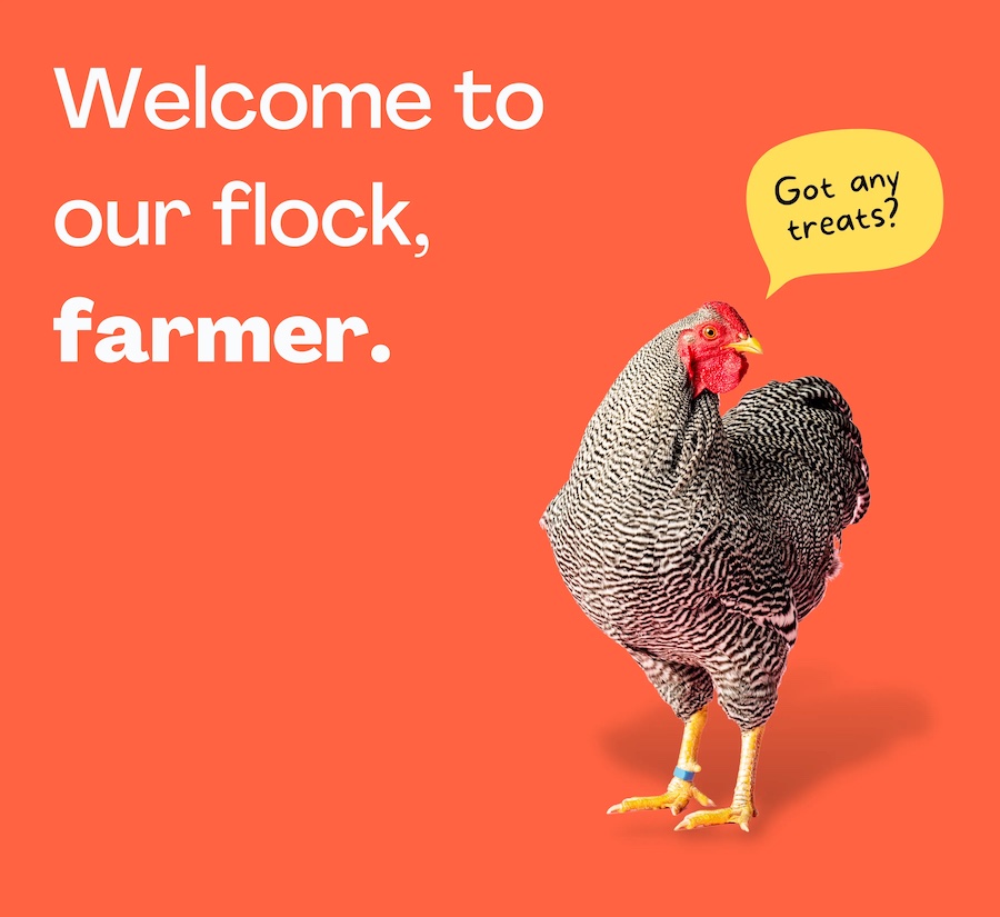 Book a Coop Refresh with a Tender Today